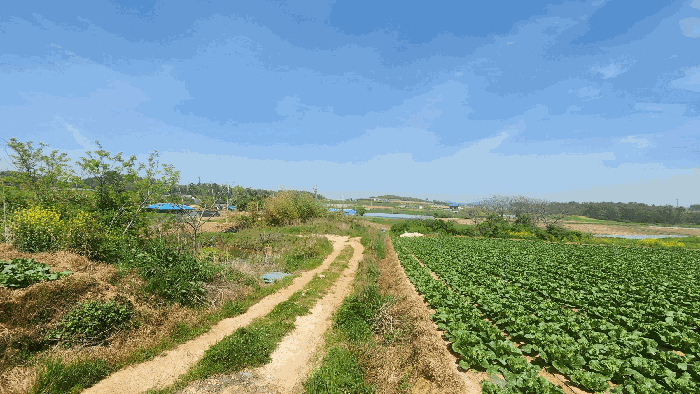 본건 기호(2) 접근로 및 주위환경