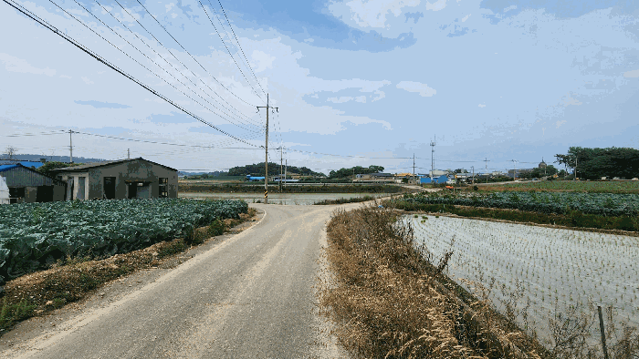 본건 기호(2) 접면도로 및 주위환경