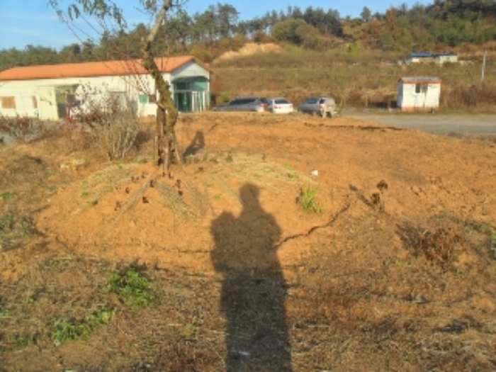 2016타경12606[1]