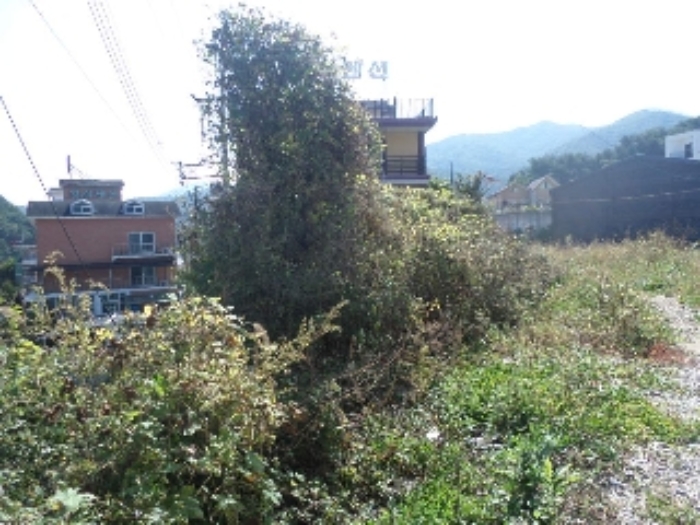2021타경6605