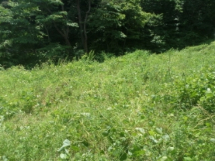 목록1. 전경