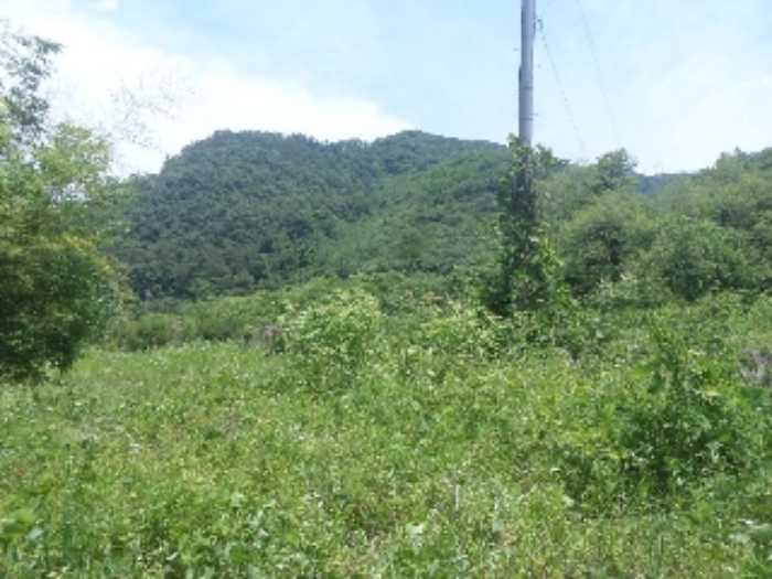 목록3. 전경