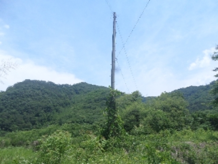 목록3. 지상 전신주