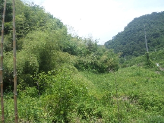 목록2. 전경
