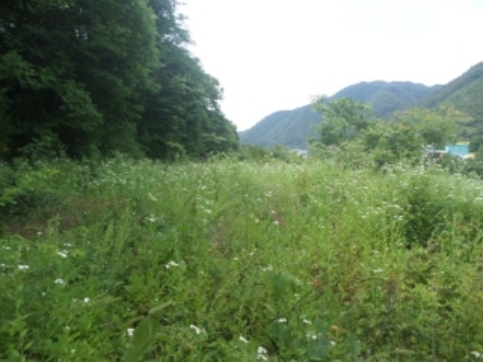 목록7. 전경