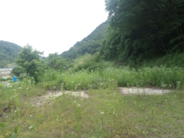 목록7. 전경