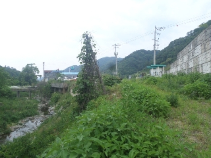 목록13. 전경