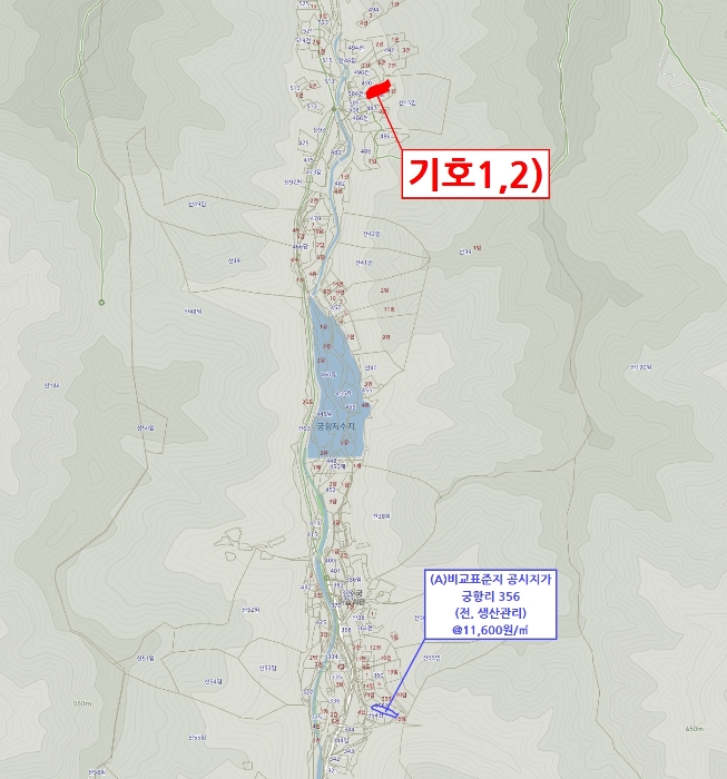 2024타경6019