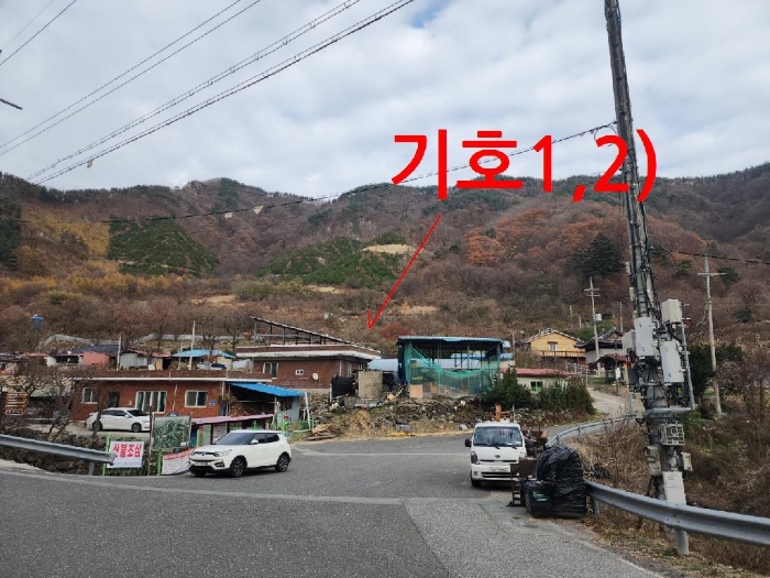 2024타경6019