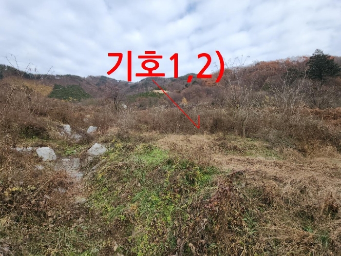 2024타경6019