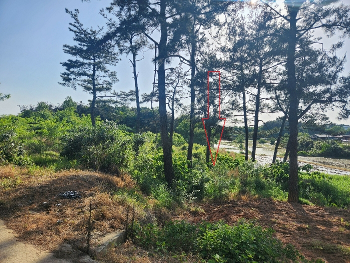 2024타경34984