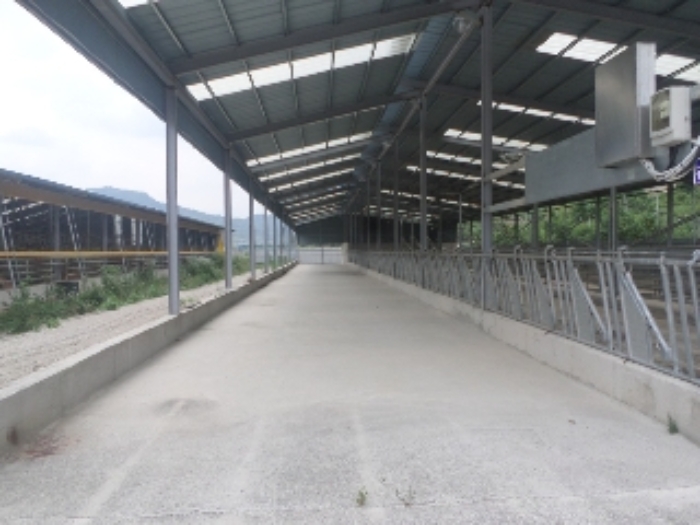 2024타경35789[3]