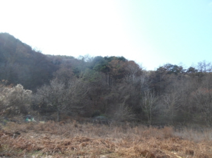목록2. 3. 전체 전경(1)