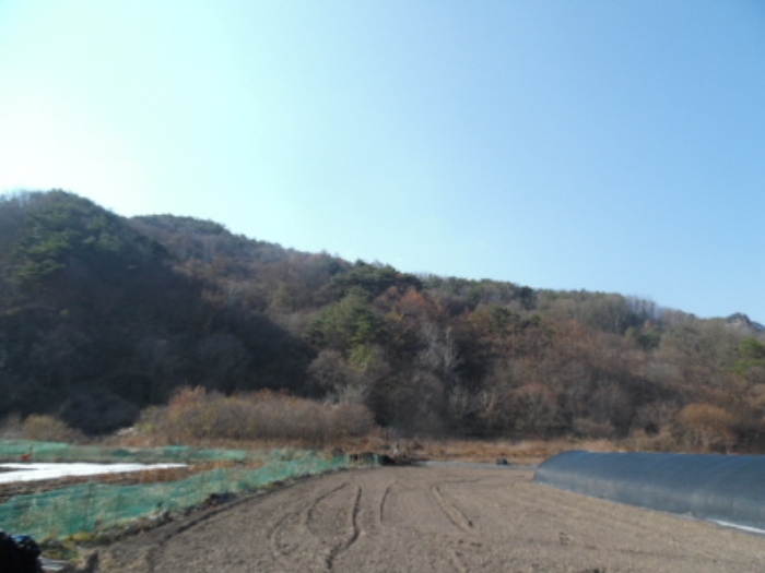 목록2. 3. 전체 전경(2)
