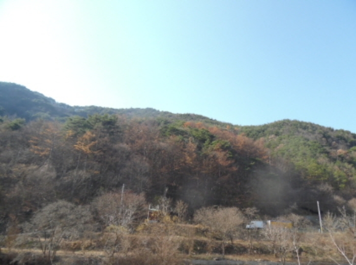 목록4. 임야 전경(1)