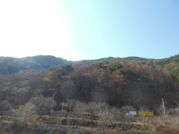 목록4. 임야 전경(2)