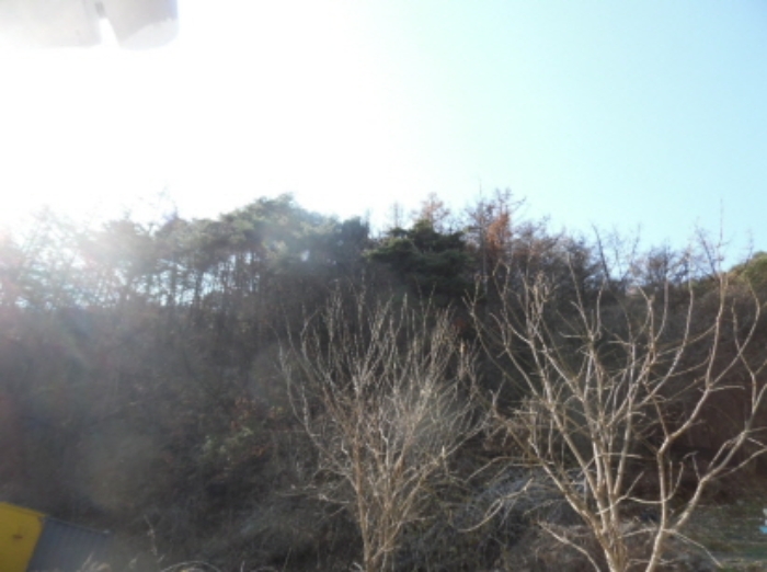 목록4. 임야 전경(3)
