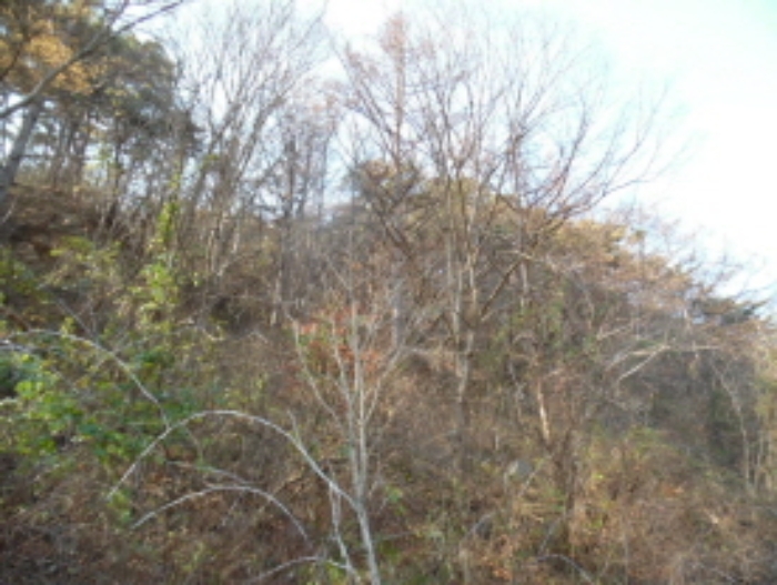 목록4. 임야 전경(4)