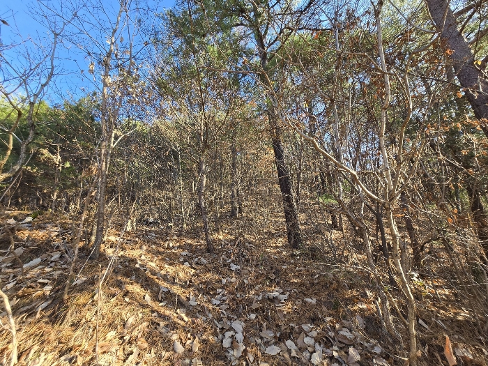 본건전경 일련번호 1)