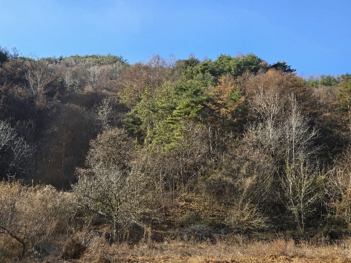 본건전경 일련번호 2,3)