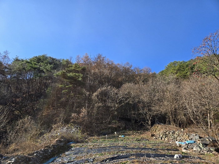 본건전경 일련번호 4)
