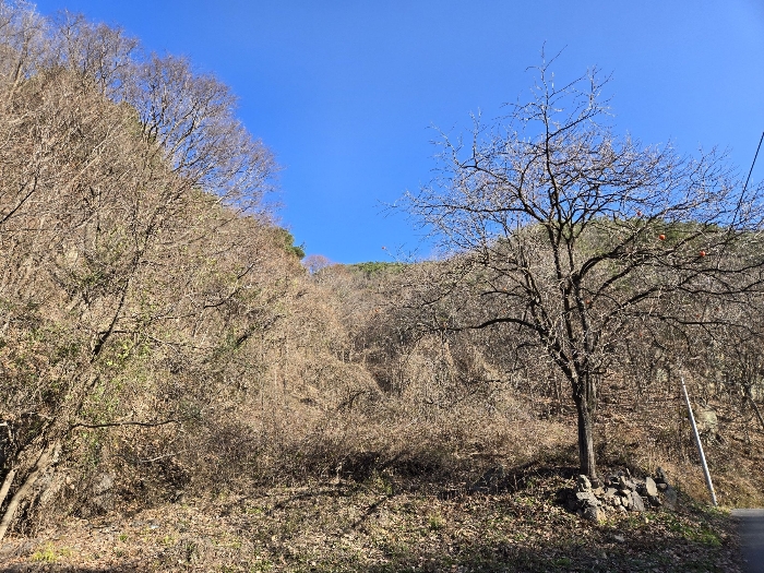본건주위전경 일련번호 5)