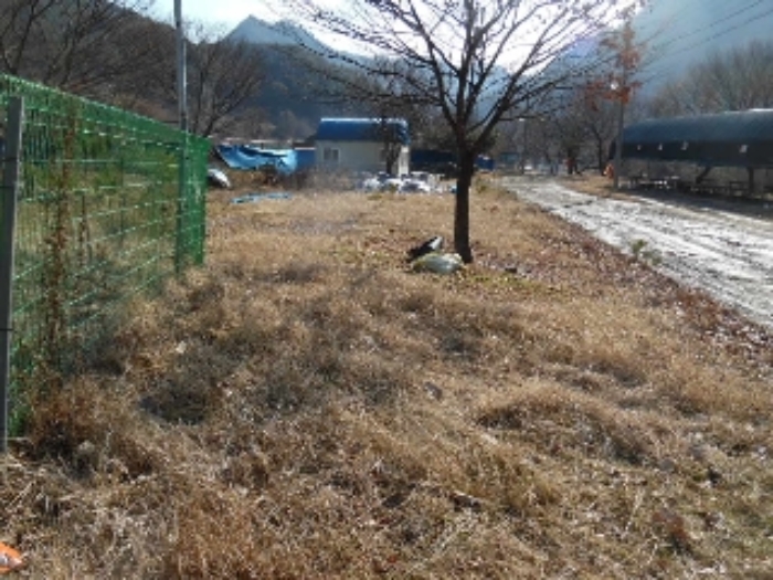 목록3. 토지 전경(1)