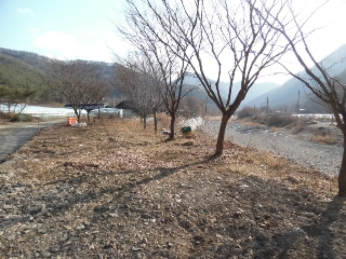 목록1. 토지 전경(8)