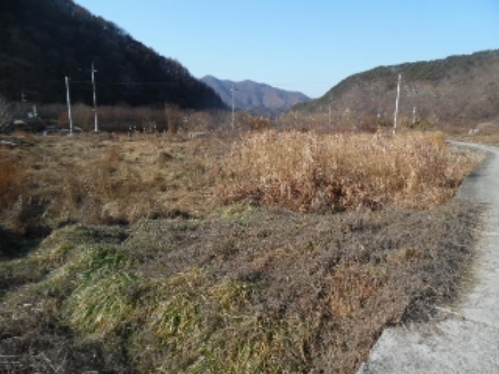 목록4. 토지 전경(1)