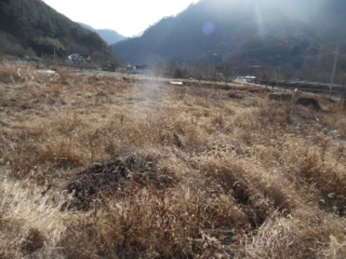 목록4. 토지 전경(2)