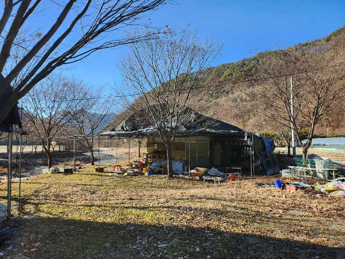 제시외건물 ㉡-㉣) 부근 전경