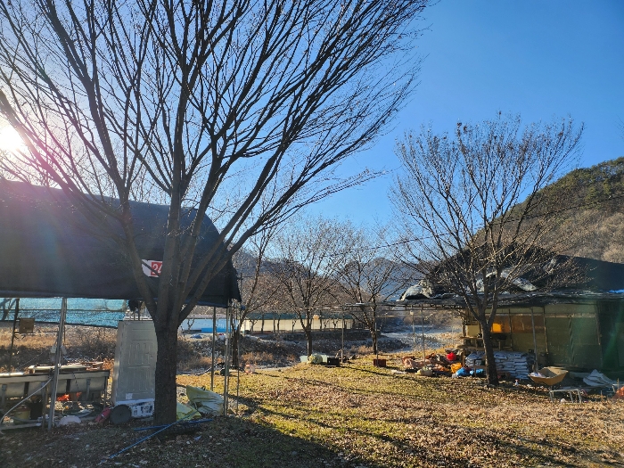 제시외수목