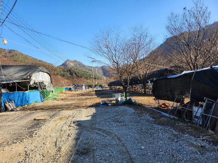 일련번호 1-3) 전경