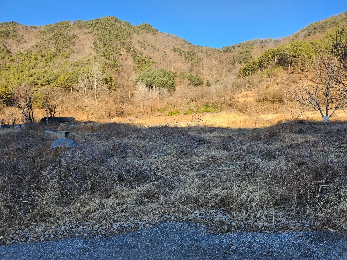 일련번호 4) 본건 전경