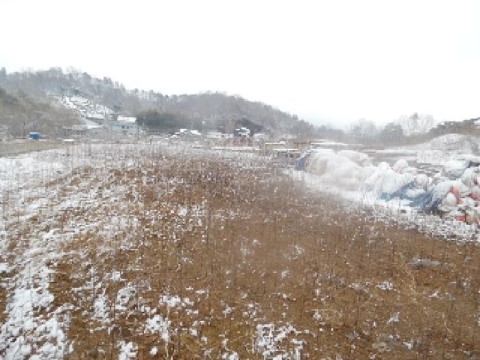 목록3. 토지(임야) 전경(8)