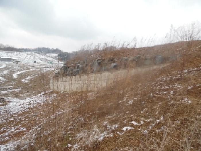 목록4. 토지(임야) 전경(8)