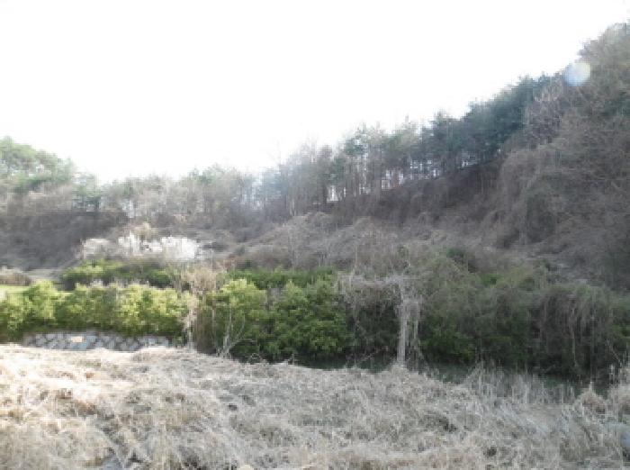 목록1. 토지(임야) 전경(1)