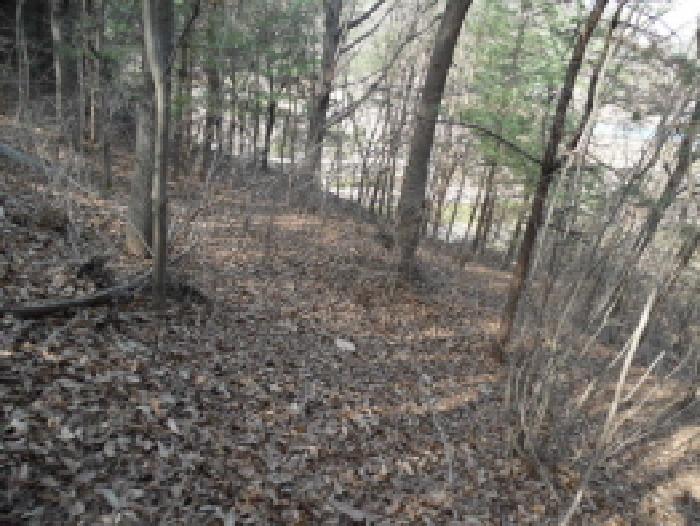 목록1. 토지(임야) 전경(8)
