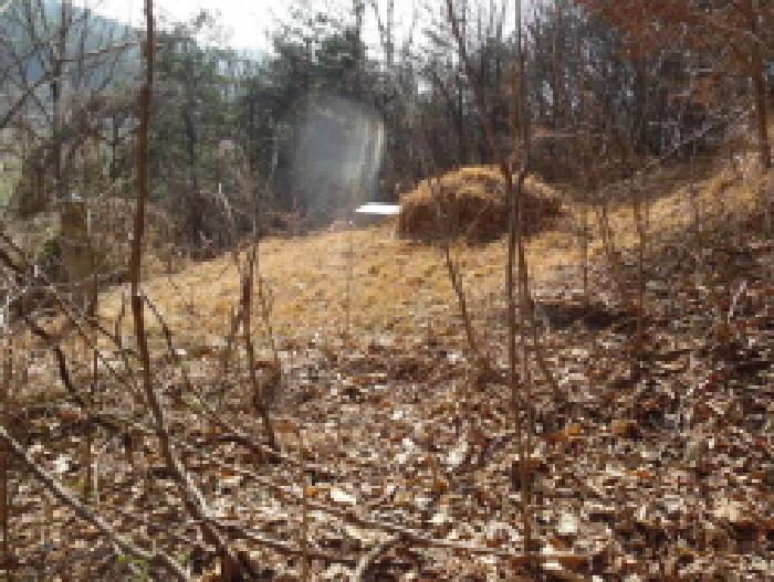 목록2. 토지(임야) 분묘 전경(3)