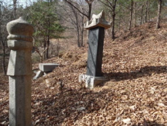 목록2. 토지(임야) 분묘 전경(9)