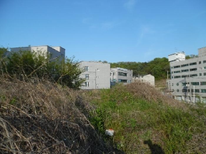 목록9. 토지(대) 전경(3)