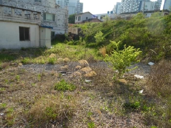 목록1. 토지(대) 전경(2)