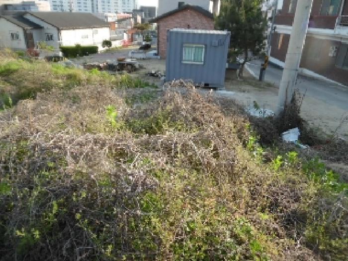 목록7. 토지(대) 전경(4)