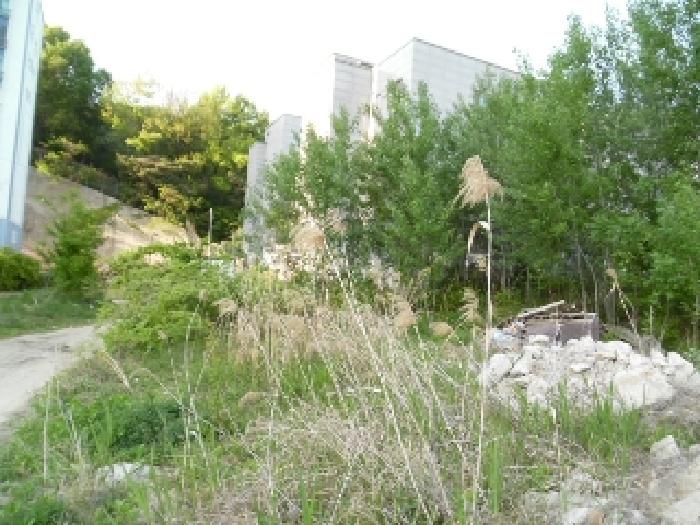 목록10. 토지(대) 전경(4)