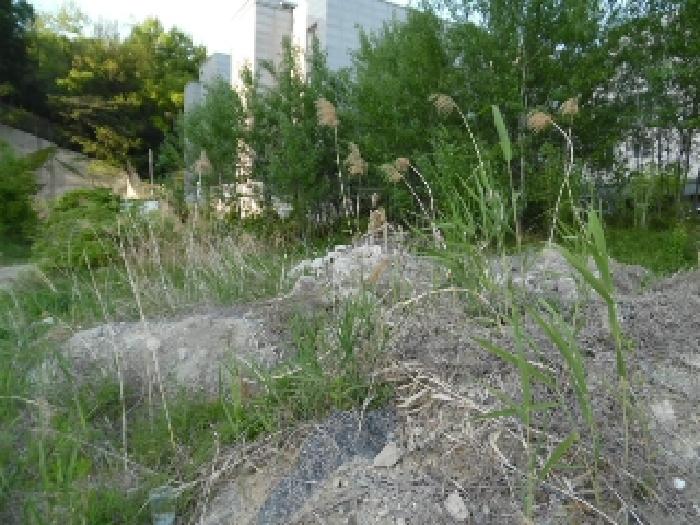 목록12. 토지(대) 전경(3)