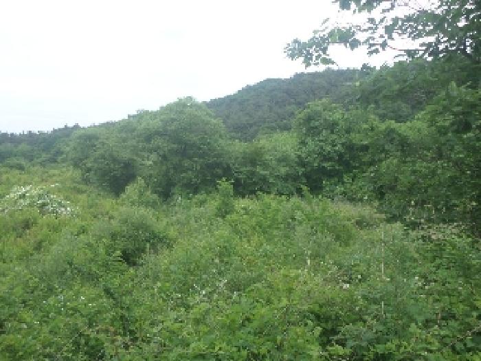 목록1. 전경