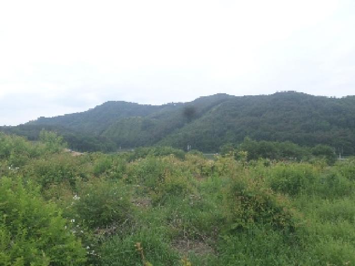 목록2. 전경