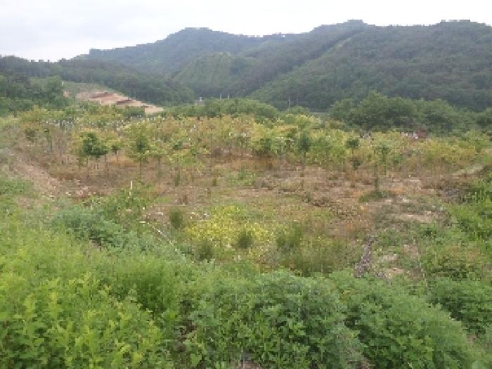 목록2. 전경