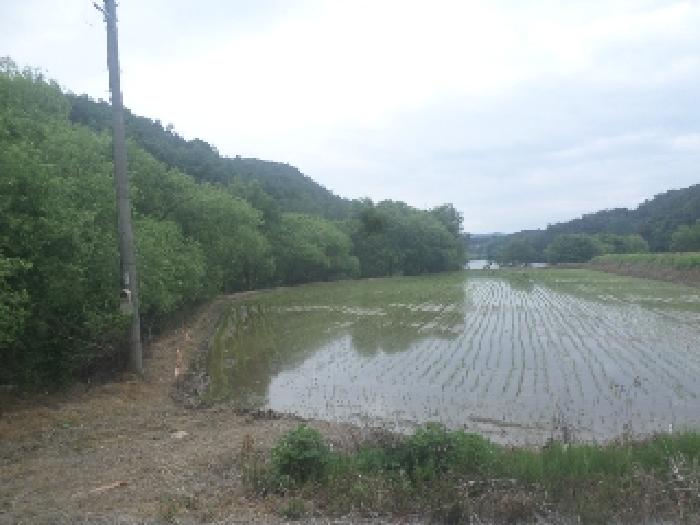 목록3. 전경