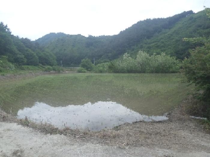 목록4. 전경